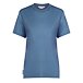Femei Merino 150 Tech Lite SS Relaxed Tee Icebreaker Dawn